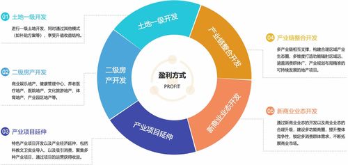 商業(yè)地產(chǎn)全周期運營策略 從規(guī)劃到市場推廣